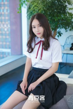 上门女婿叶辰小说